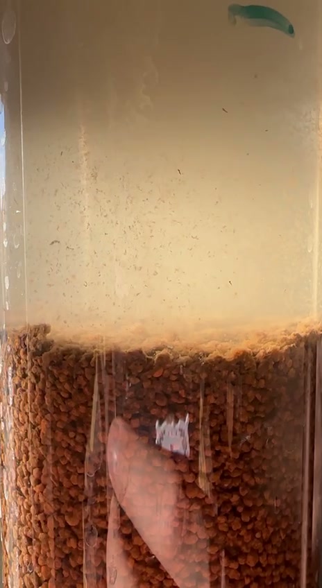 Очистка пластовых вод от нефтепродуктов: лабораторные исследования перед извлечением лития