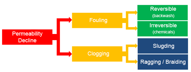 Fouling и Clogging