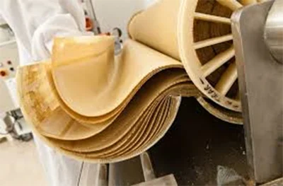 Autopsy мембраны